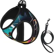 Cool Drums Set print Dog Harness and Leash Set, Reflective Adjustable Puppy Vest for Small Medium Large Dogs, Cats