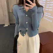 Collar Plain Ribbed Knit Top Blue - M