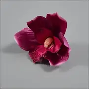 Artificial Flower Heads, 30pcs Artificial Orchid Flower Heads, 3.1" Green Faux Orchid Heads Real Touch Cymbidium Orchid Silk Flowers for Wedding Bridal Floral Bouquet Party Centerpieces(Burgundy)