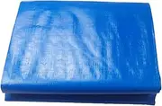 Pools Above Ground Cloth Cover Ground Tarp Pool Blanket Covering Pool Mat for Garden, 460cmx230cm