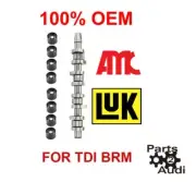 Camshaft Replacement w Camshaft Followers KIT VW MK5 06 Jetta TDI BRM code 1.9L