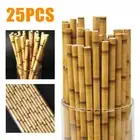 25pcs Paper Straws Bamboo Print Straws Hawaiian Jungle Tropical Bamboo PrintBio