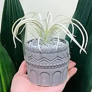 Concrete Flower Pot Silicone Molds Retro Pattern Art Design Silicone Planter Molds Succulent Plants Cement Clay Molds Epoxy Jewelry Storage Box Moulds