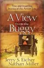 Jerry S. Eicher Nathan Miller A View from the Buggy (Paperback)