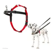 HALTI Front Control Harness - To Stop Your Dog Pulling on the Medium Black/Red