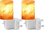 2Pcs Himalayan Salt Lamp, Natural Crystal Salt Rock Lamps, Warm Orange Nursery Wall Night Light, Night Lights, ETL Approved Wall Plug for Air Purifying, Australia Plug (Cylinder Shape)