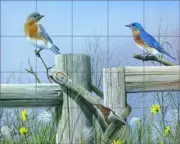 Bird Tile Backsplash Mike Brown Wildlife Art Ceramic Mural MBA013