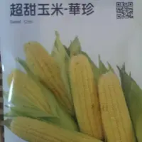 在飛比找蝦皮購物優惠-四季園  超甜玉米 華珍 【蔬果種子】 農友牌 約12公克/