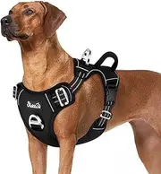 SlowTon No Pull Dog Harness, No Choke Pet Harness with 2 Leash Clips and Easy Control Vertical Handle, Adjustable Soft Padded Dog Vest for Small, Medium and Large Dogs