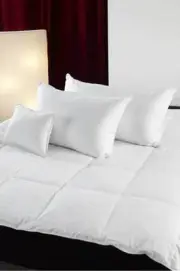 Siberian 800 Fill Power White Goose Down Pillow, (Standard)