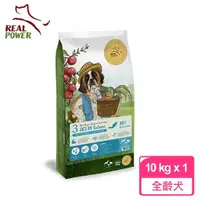 在飛比找momo購物網優惠-【Real Power 瑞威】天然平衡犬糧3號 海洋魚貝 1