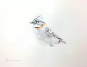Chincol, Birds, Watercolor artwork, Handmade, Original painting on paper