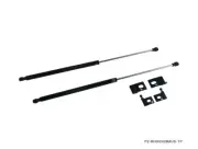 P2M Phase 2 Black Series Engine Hood Bonnet Dampers Set for Ford Mustang 05-09