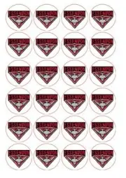 Essendon AFL Cupcake Toppers, cake Icing sheets, cake toppers