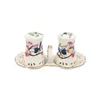 Australia Bird Blue Wren Salt & Pepper Set Fine Bone China Gift