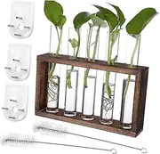 Garneck 1Set Hydroponic Plant Stand with Test Tubes Rack for Wall Hanging Plant Propagation for Pothos Violets Glass Container for Home Decoration