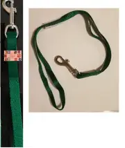 PET Dog Cat NYLON RESTRAINT Noose LOOP w/Clip for Grooming Table Arm Bath*GREEN