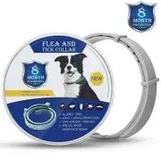 8 month protection 62cm Dog Flea Tick Collar Adjustable Allergy Free Water Proof
