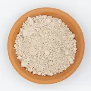 Diatomaceous Earth - Micronized & Sprayable (Pure Silica)