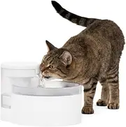 PetSafe Outlast Pumpless Water Fountain 60 oz/1.7L– Cat Water Fountain, Dishwasher Safe, Easy Assembly and Cleaning, Water Filter Included