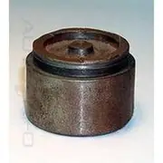 Protex Caliper Piston - 090P0281