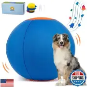 TailWaggers Jingle Herding Ball for Dogs,Durable Cover for Long-Lasting Dog T