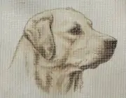 Hand-Painted Yellow LABRADOR RETRIEVER Dog Needlepoint Canvas 10 x 8" on 14 mesh