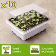 10pcs 12-Hole Seedling Planter Nursery Propagation Boxes Growing Starter Trays
