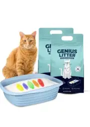 Health Indicating Cat Litter with Non-Clumping Lightweight Color Changing 2 Pack
