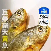在飛比找生活市集優惠-【鮮到貨】新鮮現殺大黃魚500~600g 黃花魚