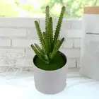 Plastic Cactus Branch High Quality Artificial Succulents Plant Living Room