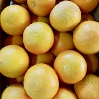 在飛比找蝦皮購物優惠-美國加州/南非進口紅寶石葡萄柚一箱17公斤