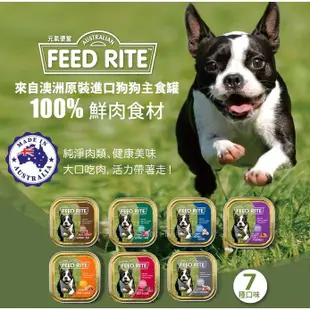 FEED RITE 元氣便當 犬用餐盒 主食罐 100g 狗罐