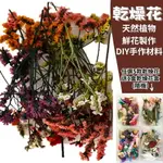 【A-ONE】乾燥花材 永生水晶草 3色混搭 DIY乾燥花盒 花材 花藝材料包 手作花材 乾燥花 不凋花 乾花 A18