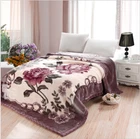 Thick 1000GSM Queen Size Soft Smooth Mink Blanket Double Layer Winter Throw 5kg