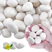Lechloris 20Ib White River Rocks for Landscaping- High Polished Pebbles for Plants-Garden Decorative Stones-1-2 Large Plant Rocks,Ideal for Aquarium, Home Decor