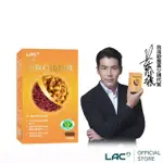 【LAC 利維喜】活性納麴Q10膠囊X1盒組(共60顆/納豆/降低膽固醇/台灣紅麴/黃少祺代言/健字號/送禮)