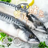 在飛比找momo購物網優惠-【一手鮮貨】無鹽整尾挪威鯖魚(5尾組/單尾600g~550g