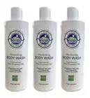 Global Balance Deodorizing Body Wash 16 oz (3 pack) Plant Based Soap Free Vegan