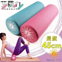 在飛比找Yahoo!奇摩拍賣優惠-"爾東體育" Fun Sport fit 艾羅力筋膜按摩滾筒