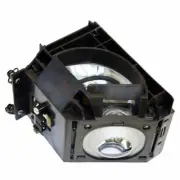 TV Lamp Module for SAMSUNG SP50L7HXX/XSA