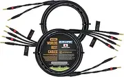 1 Meter - Canare 4S11 – Audiophile Grade - HiFi Star-Quad Bi-Wire Speaker Cable Pair with Eminence Gold Banana Connectors