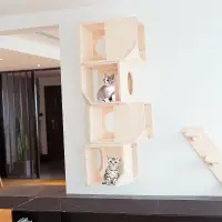 在飛比找蝦皮購物優惠-Catsle牆掛式貓爬架實木大型貓跳台一體豪華自製diy貓爬