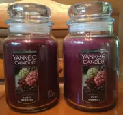 Lot of (2) Yankee Candle LUSH BERRIES 22 oz. each Large Jar