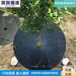 🧧熱賣🧨黑色圓形加厚防曬罩隔熱農用種植防草布園林防草蓋花盆防濺泥長草防草地布 遮草布 除草布片裝 防草地布 片裝防草