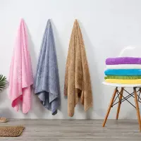 在飛比找蝦皮購物優惠-【PENG GUO芃果🍎】專櫃品牌微絲開纖紗台灣專利吸水浴巾