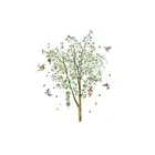 Charming Lemon Tree Bird Wall Sticker for Kids Rooms and Living Spaces