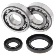 Crank Bearing & Seal Kit~1992 Suzuki RM250 All Balls 24-1019