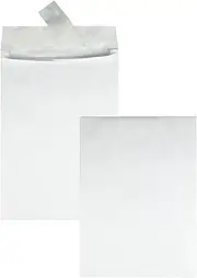 Survivor R4200 Tyvek Expansion Mailer, 10 x 13 x 1 1/2, White, 18lb (Case of 100)