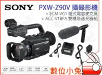 在飛比找Yahoo!奇摩拍賣優惠-數位小兔【SONY PXW-Z90V 專業級攝影機 超值包 